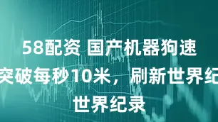58配资 国产机器狗速度突破每秒10米，刷新世界纪录